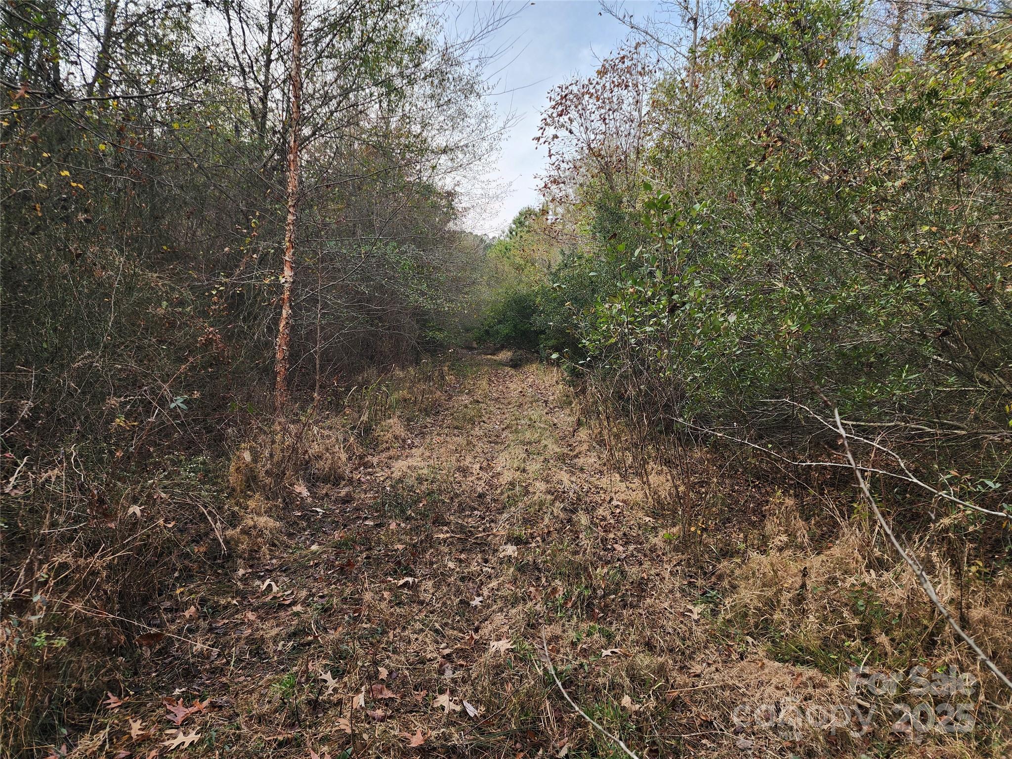 2351 Reges Store Road Nashville NC 27856