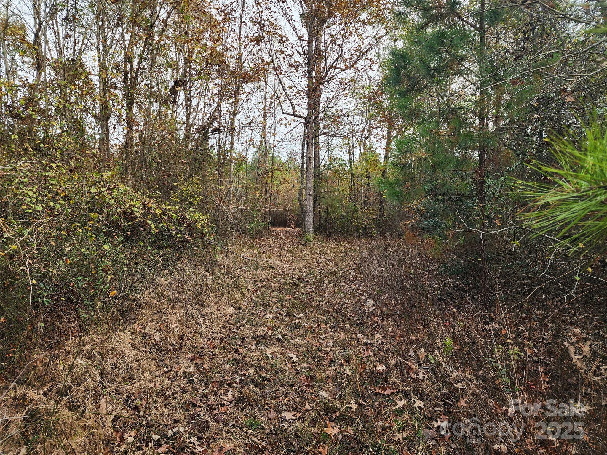 2351 Reges Store Road Nashville NC 27856