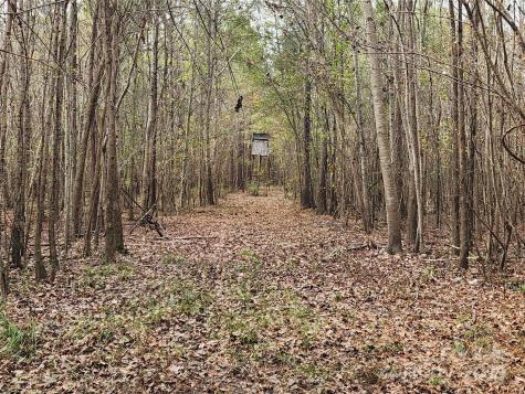 2351 Reges Store Road Nashville NC 27856