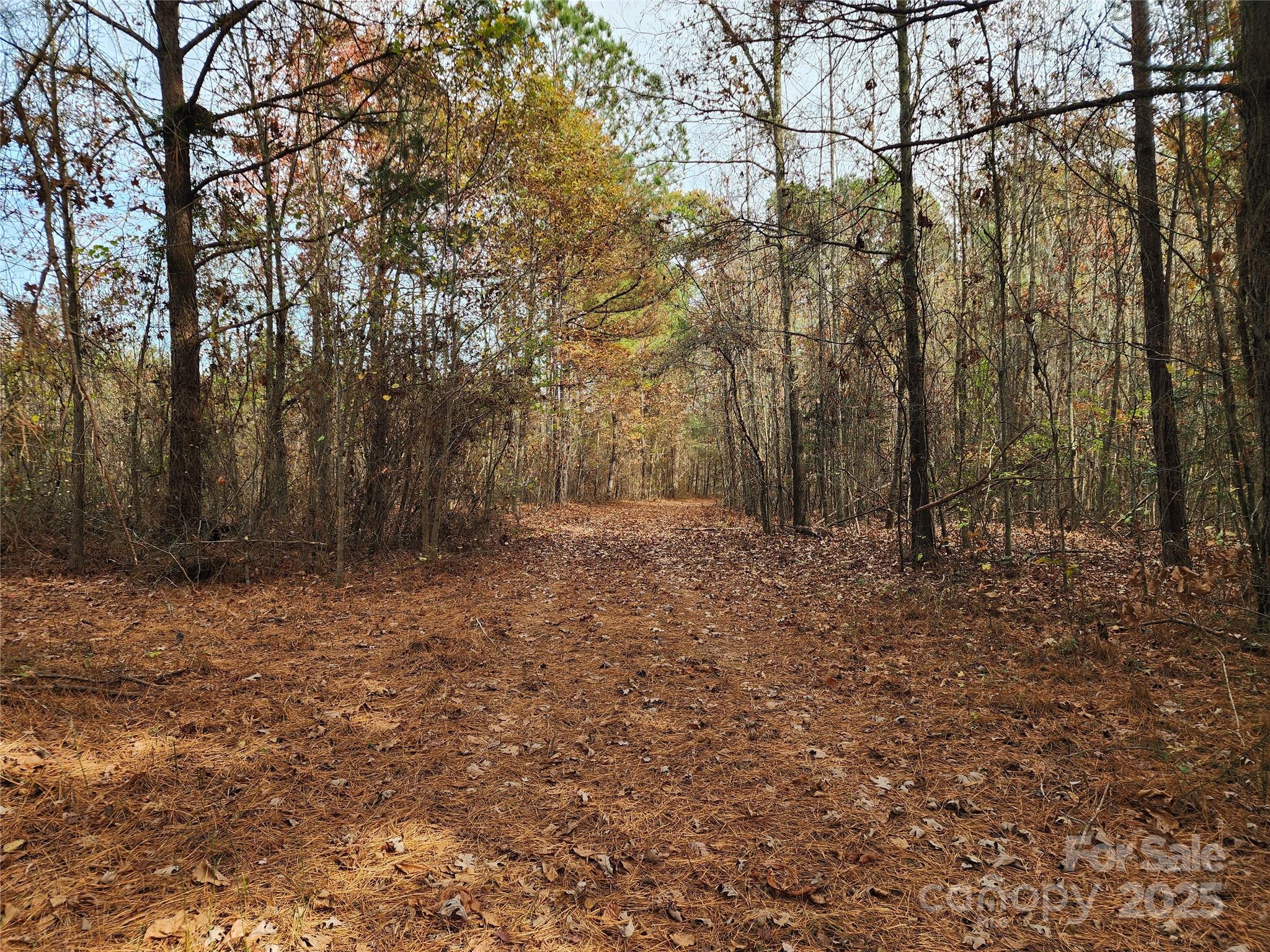 2351 Reges Store Road Nashville NC 27856