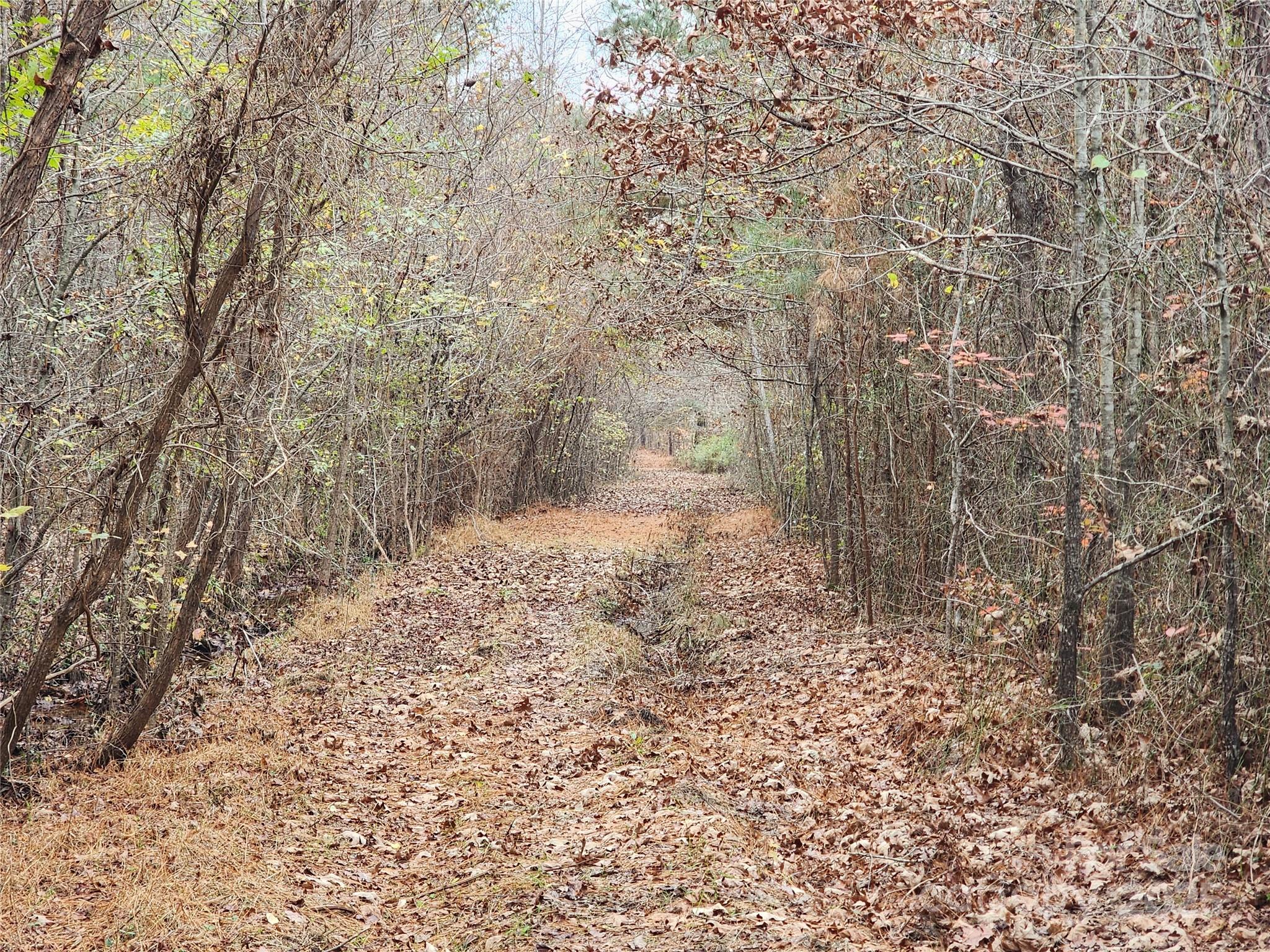 2351 Reges Store Road Nashville NC 27856