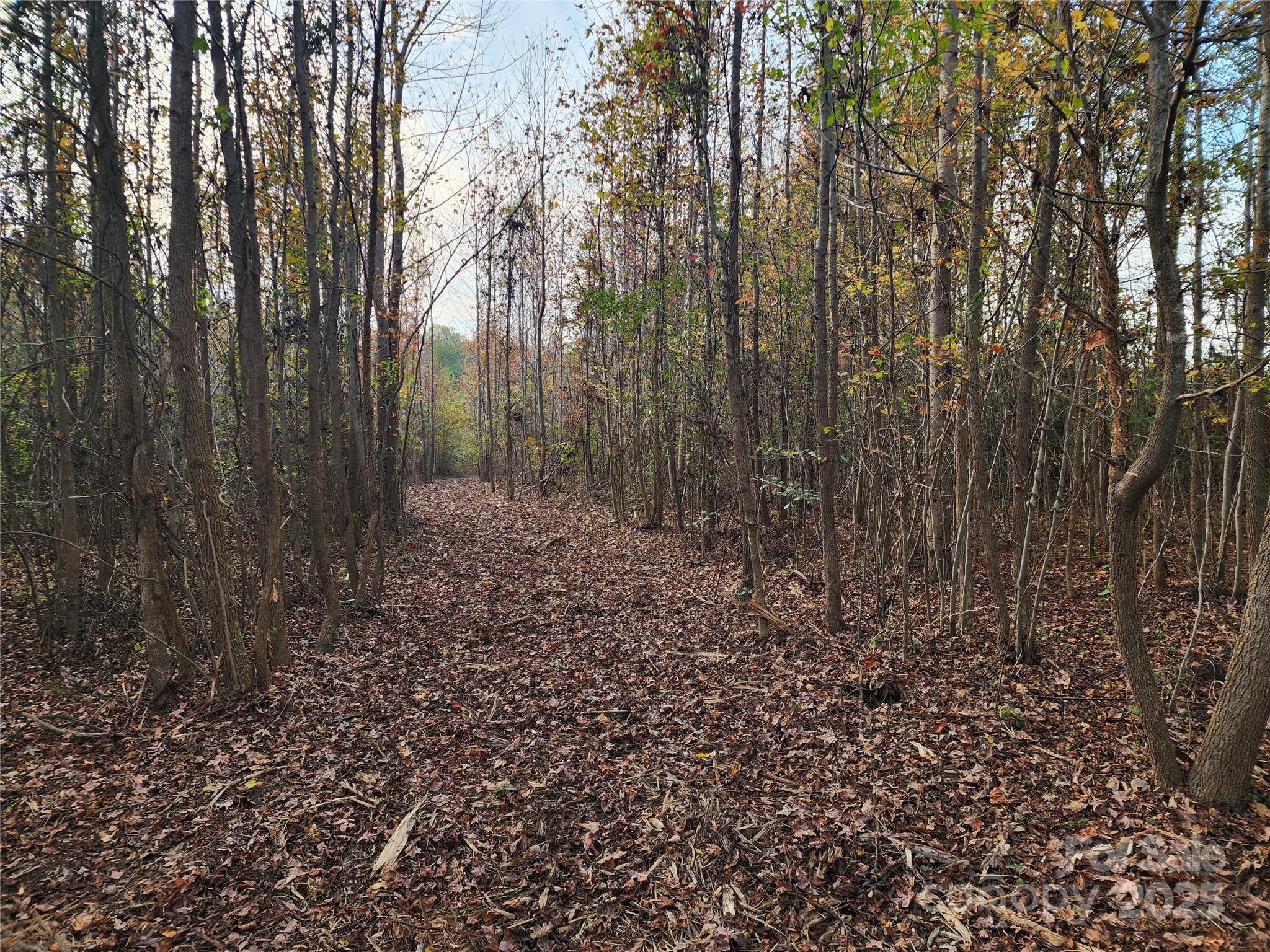 2351 Reges Store Road Nashville NC 27856