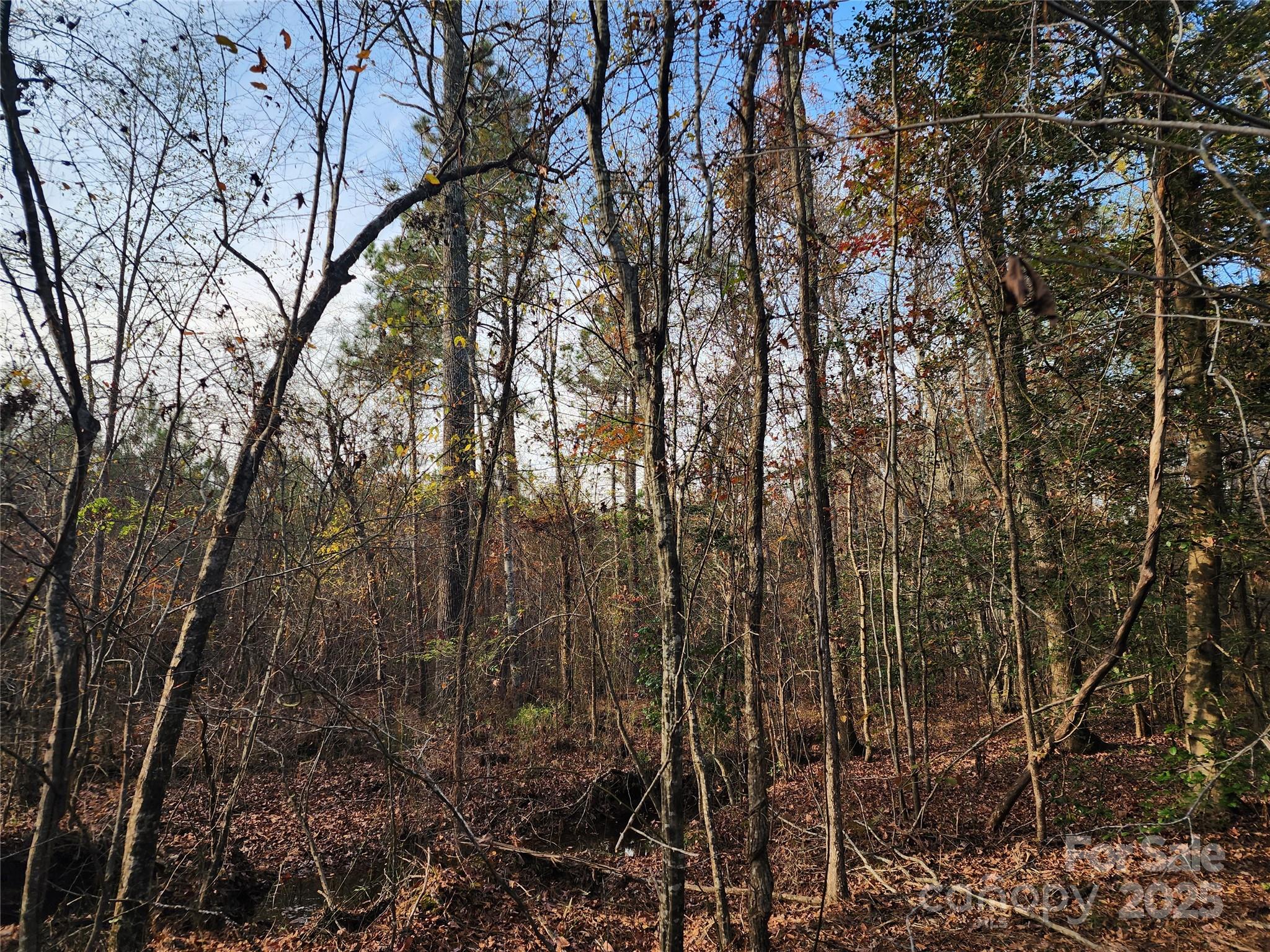 2351 Reges Store Road Nashville NC 27856