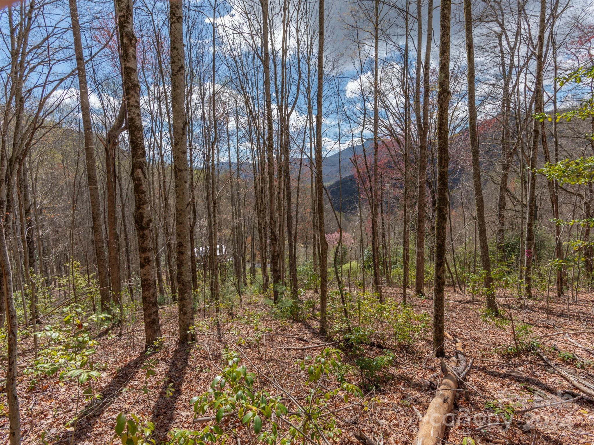 00 Sheepback Mountain Road Maggie Valley NC 28751
