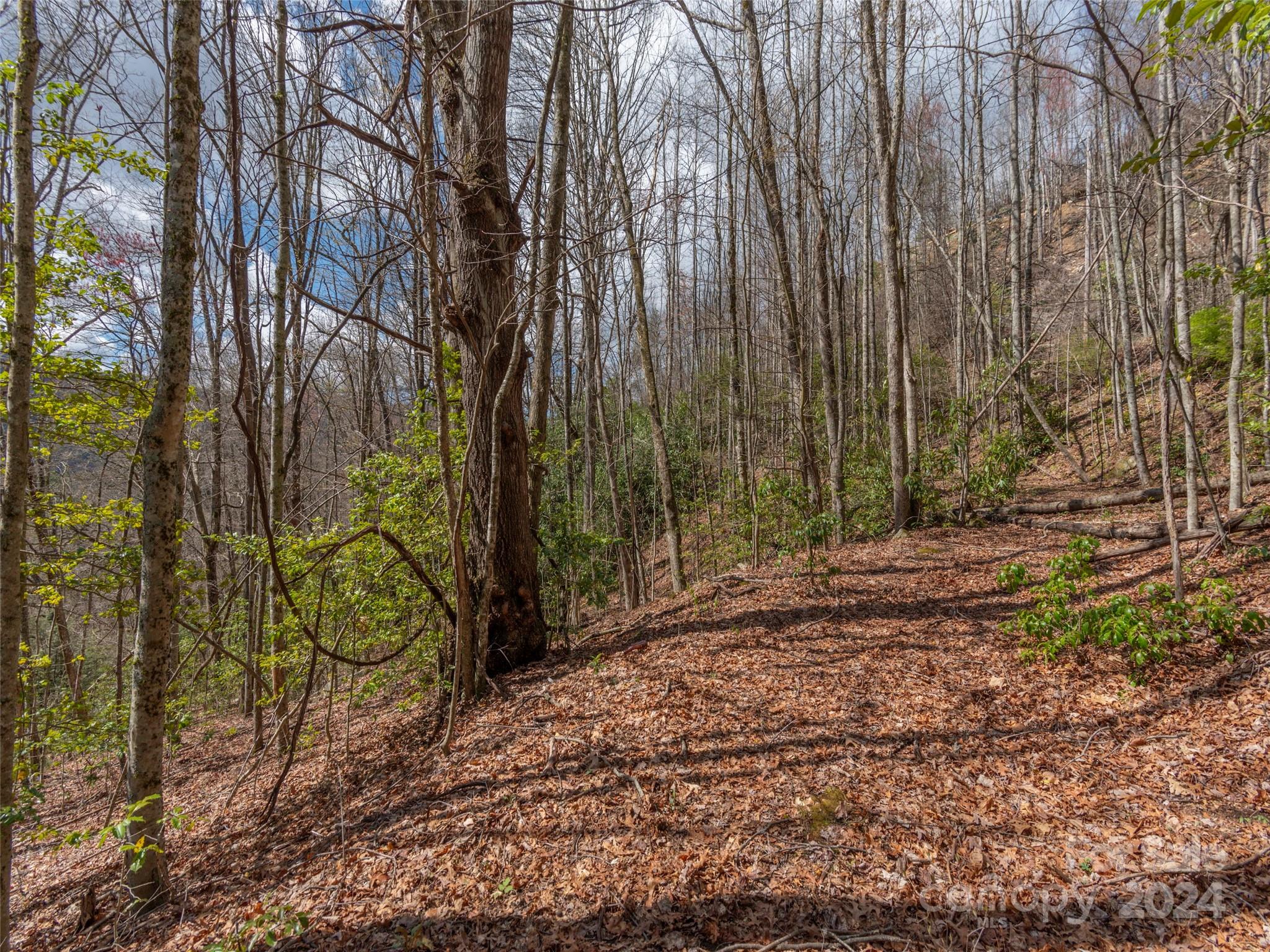 00 Sheepback Mountain Road Maggie Valley NC 28751
