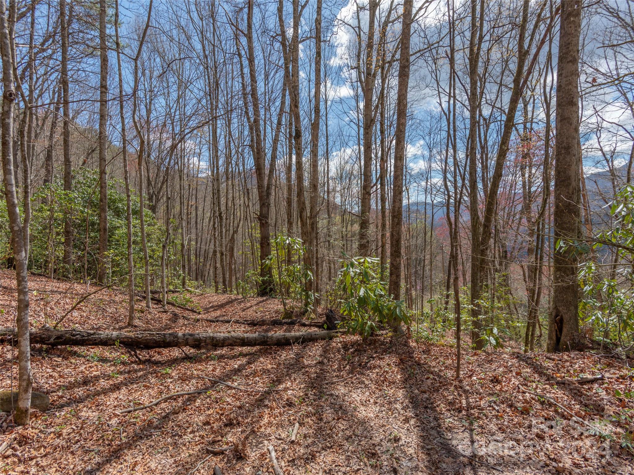 00 Sheepback Mountain Road Maggie Valley NC 28751
