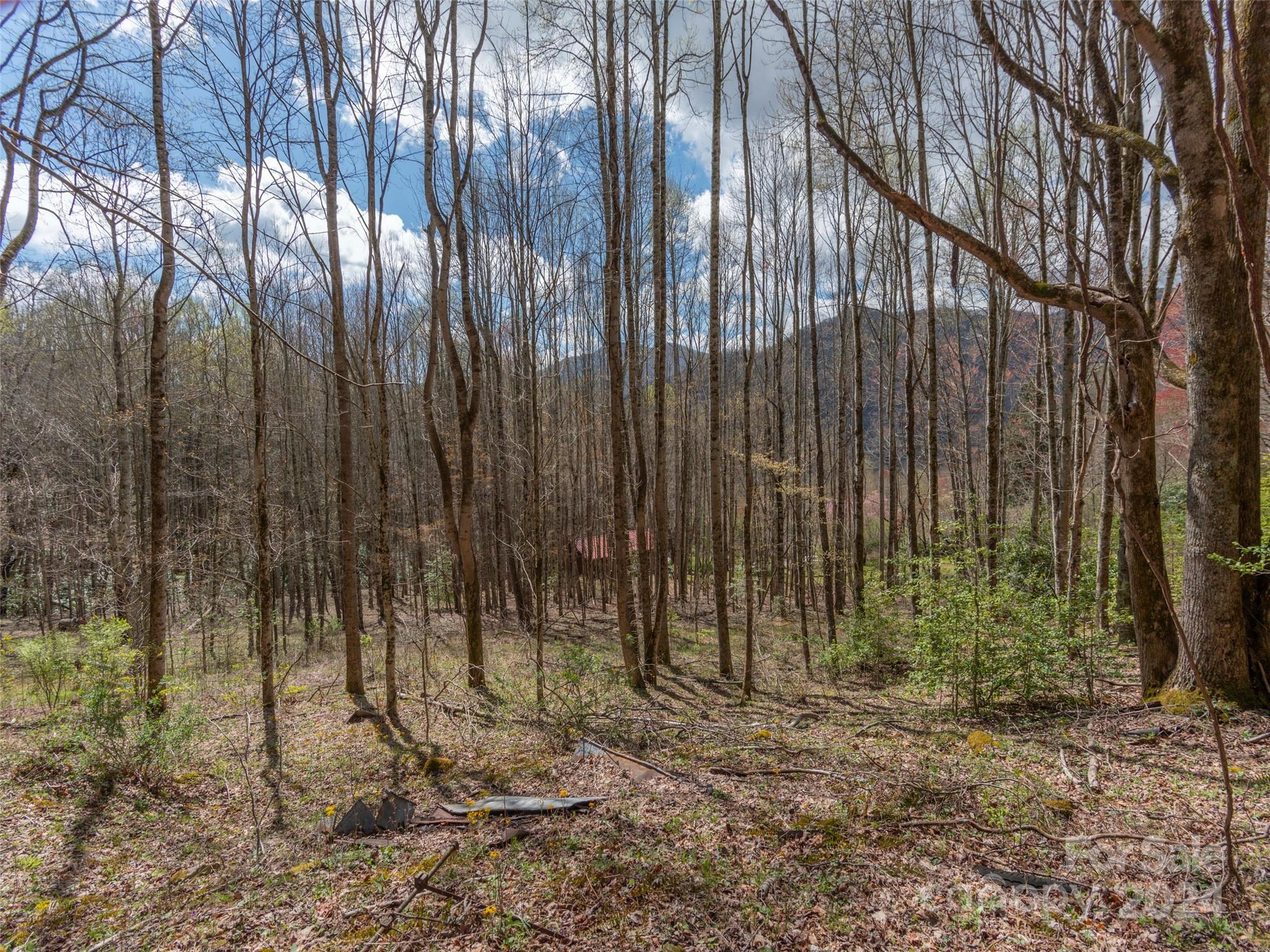 00 Sheepback Mountain Road Maggie Valley NC 28751