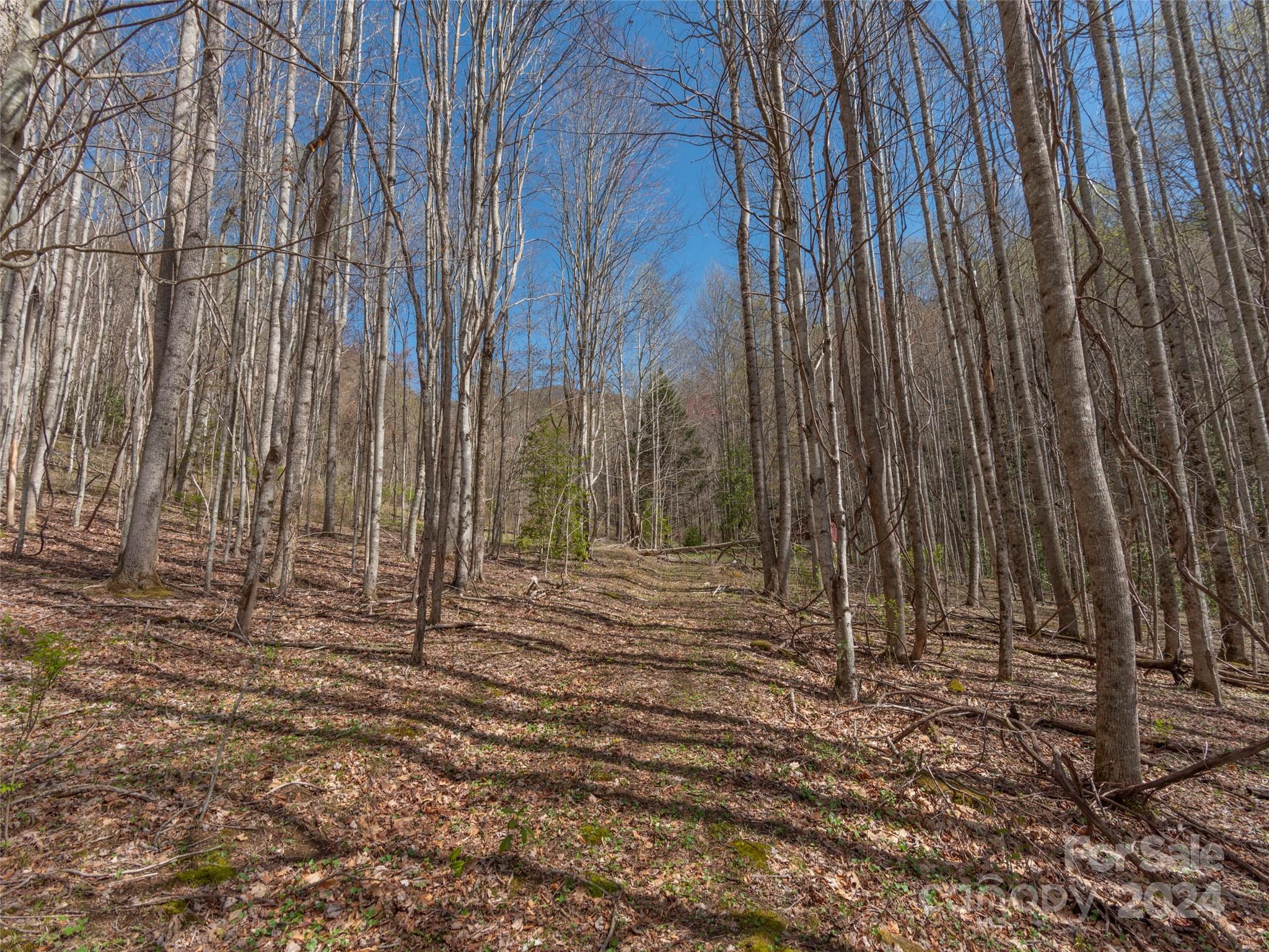 00 Sheepback Mountain Road Maggie Valley NC 28751