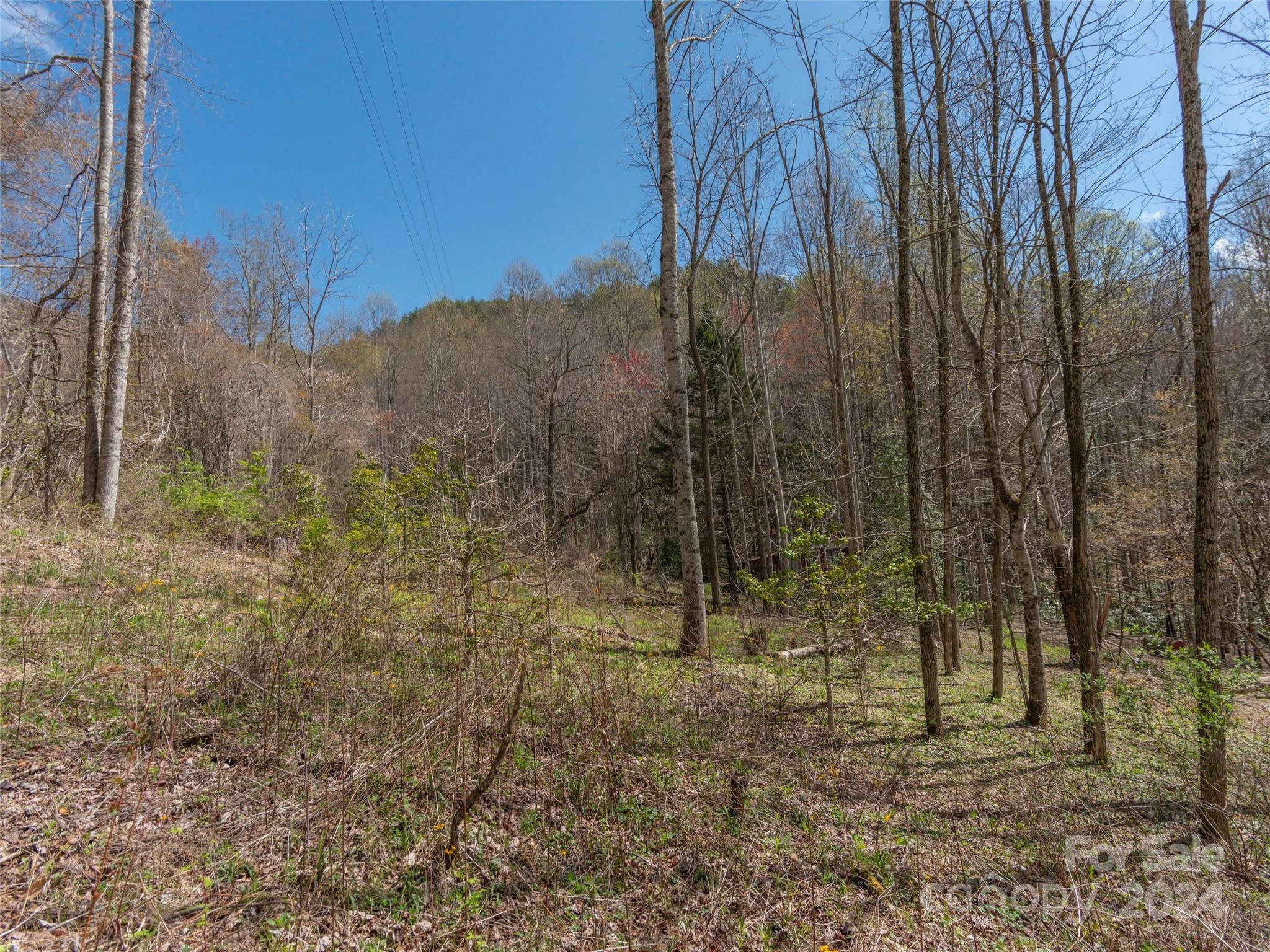 00 Sheepback Mountain Road Maggie Valley NC 28751