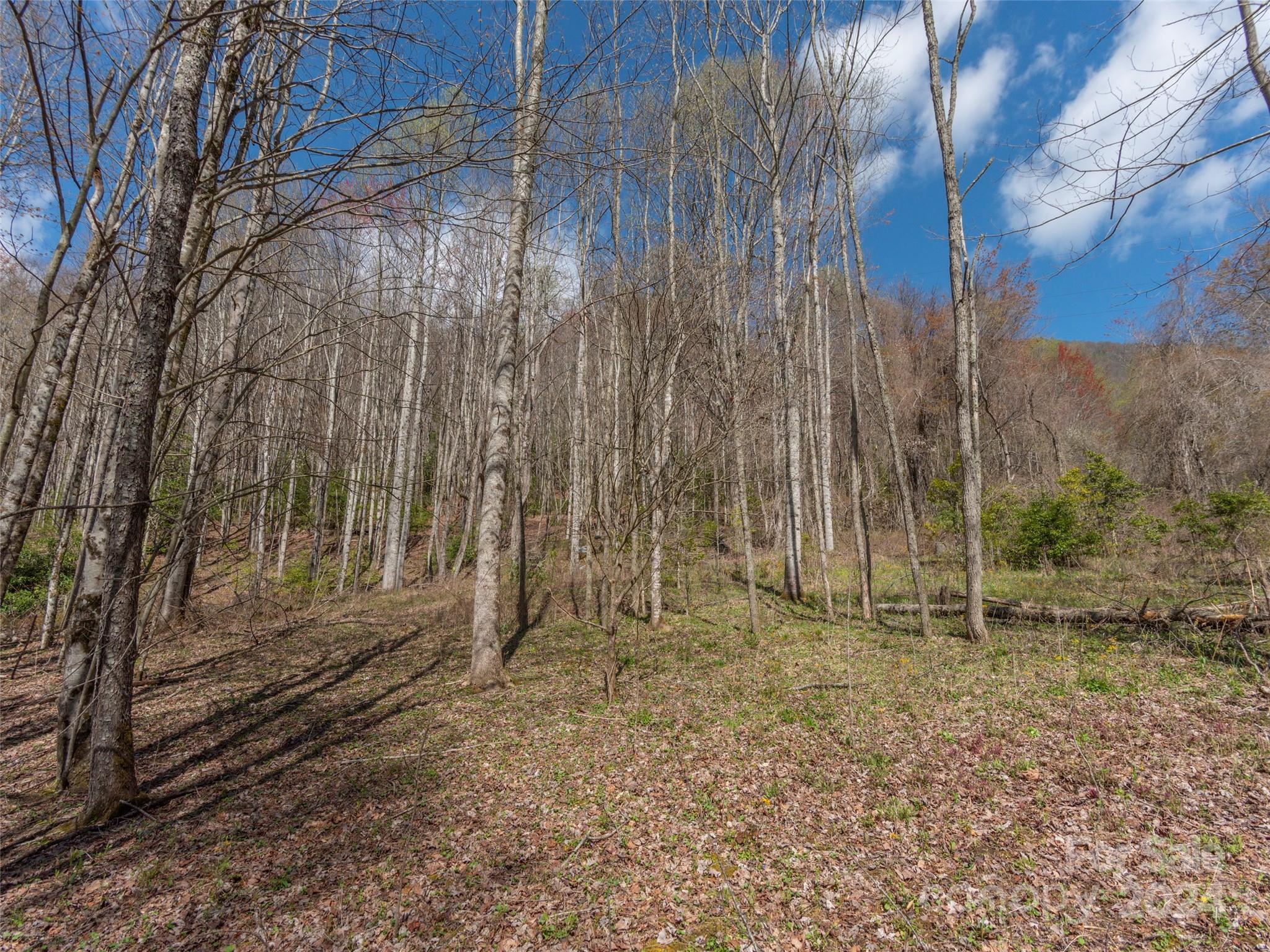 00 Sheepback Mountain Road Maggie Valley NC 28751