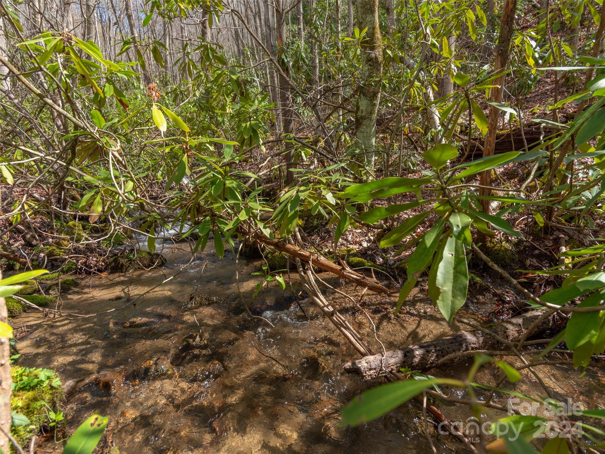 00 Sheepback Mountain Road Maggie Valley NC 28751