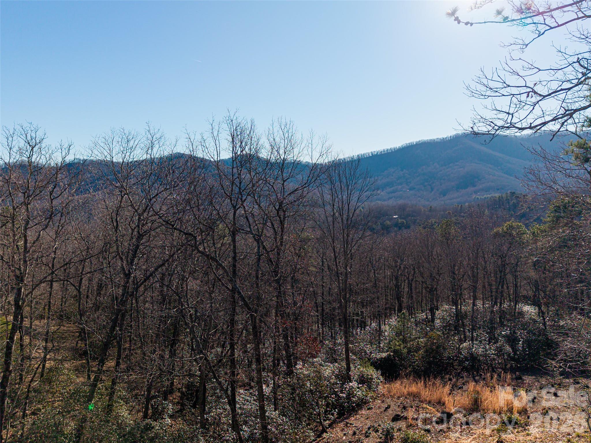 92 Smokey Ridge Trail Arden NC 28704