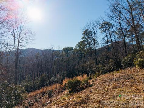 92 Smokey Ridge Trail Arden NC 28704