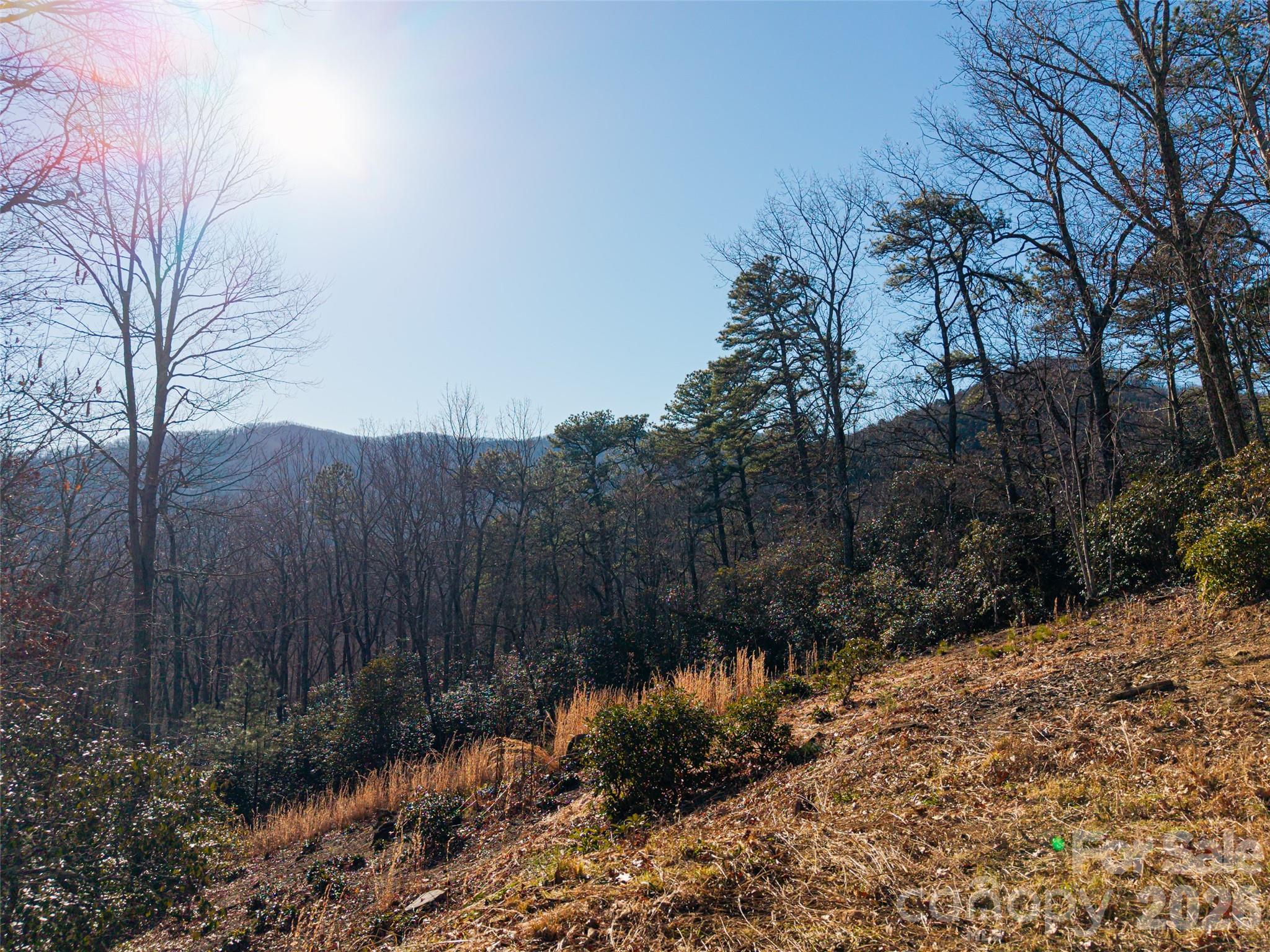 92 Smokey Ridge Trail Arden NC 28704