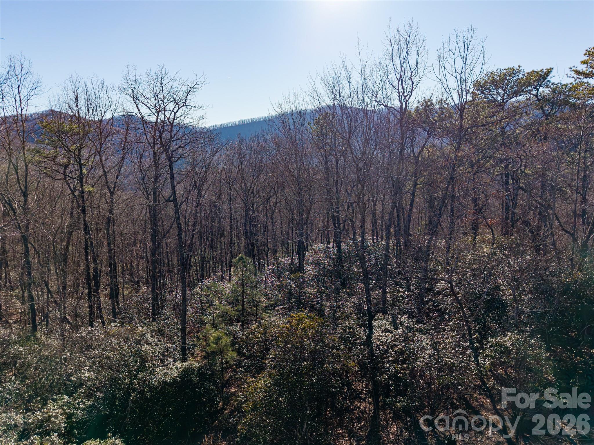 92 Smokey Ridge Trail Arden NC 28704