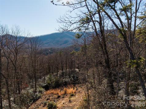 92 Smokey Ridge Trail Arden NC 28704