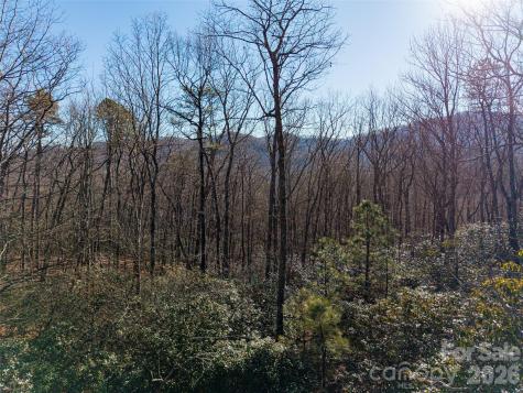 92 Smokey Ridge Trail Arden NC 28704