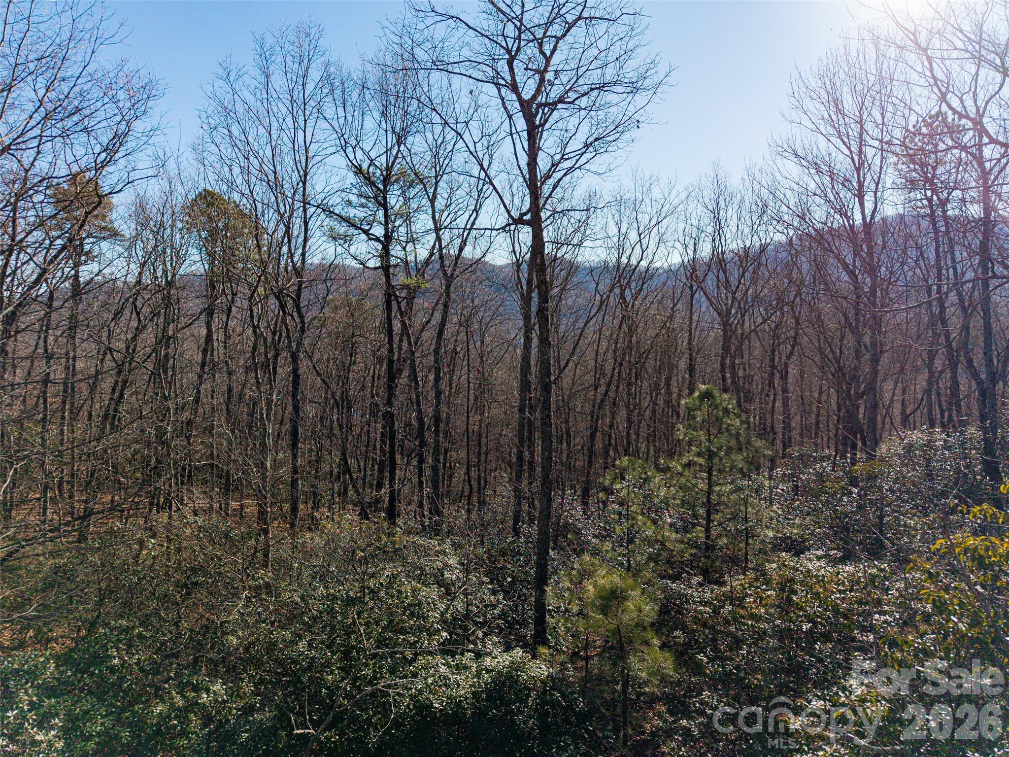 92 Smokey Ridge Trail Arden NC 28704