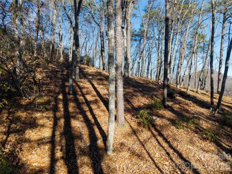 92 Smokey Ridge Trail Arden NC 28704