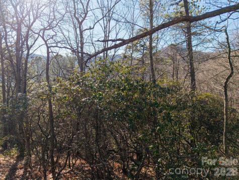 92 Smokey Ridge Trail Arden NC 28704
