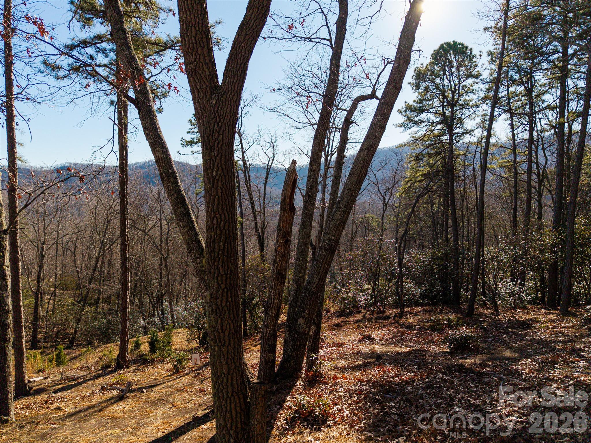 92 Smokey Ridge Trail Arden NC 28704