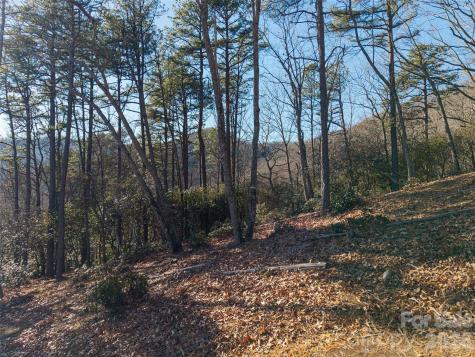 92 Smokey Ridge Trail Arden NC 28704