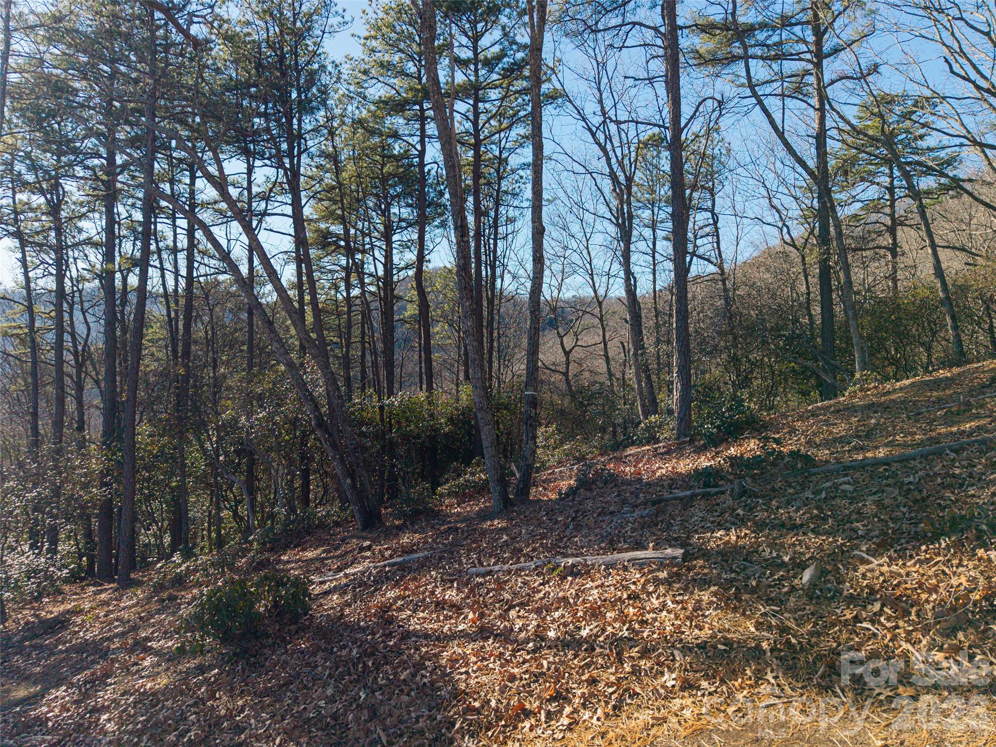 92 Smokey Ridge Trail Arden NC 28704