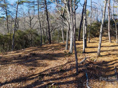 92 Smokey Ridge Trail Arden NC 28704