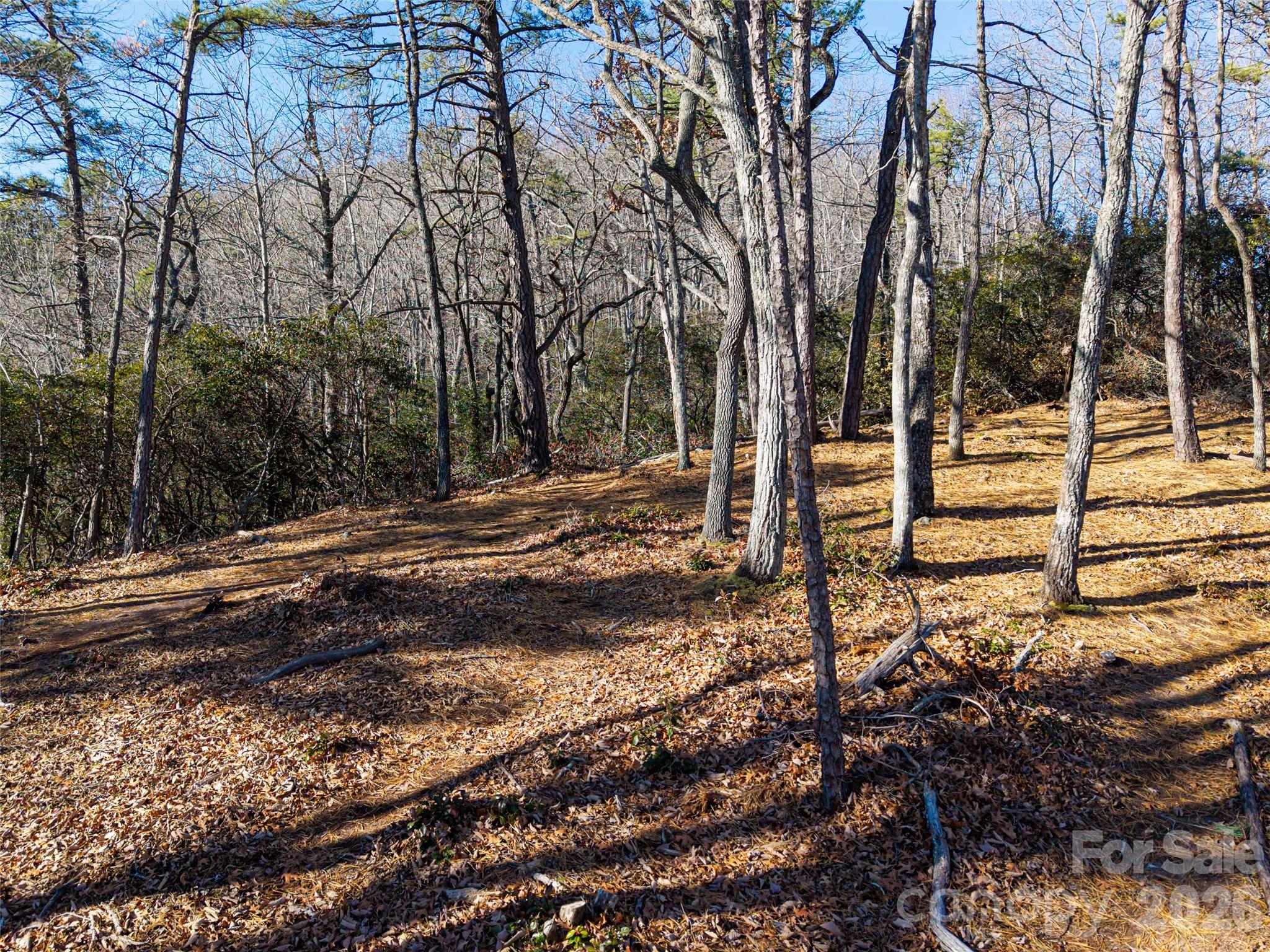 92 Smokey Ridge Trail Arden NC 28704