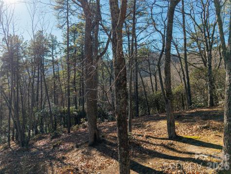 92 Smokey Ridge Trail Arden NC 28704