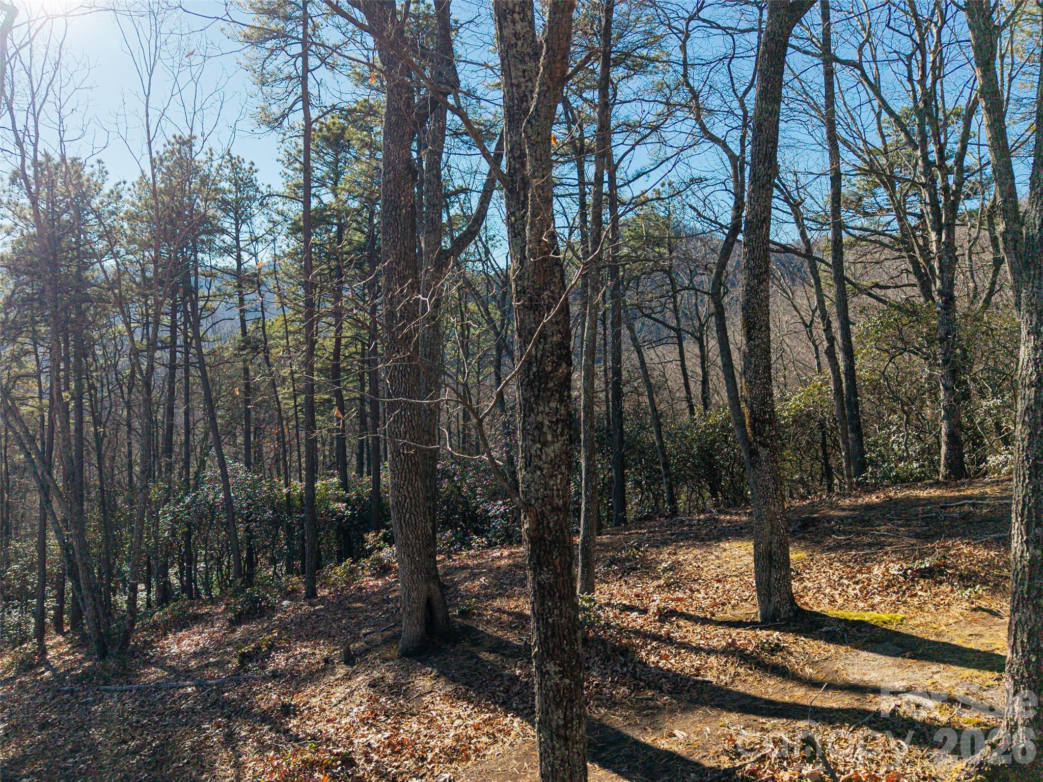 92 Smokey Ridge Trail Arden NC 28704