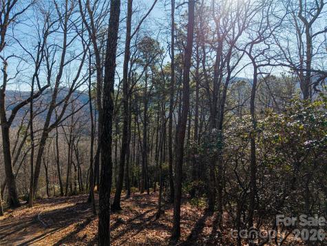 92 Smokey Ridge Trail Arden NC 28704