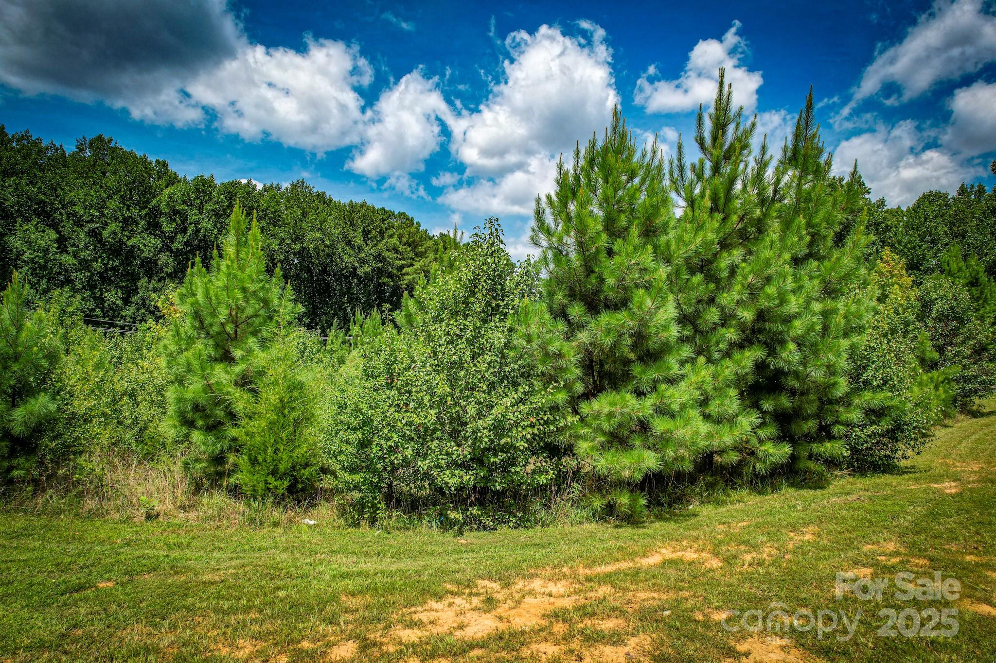00 Lynhaven Drive Gastonia NC 28052