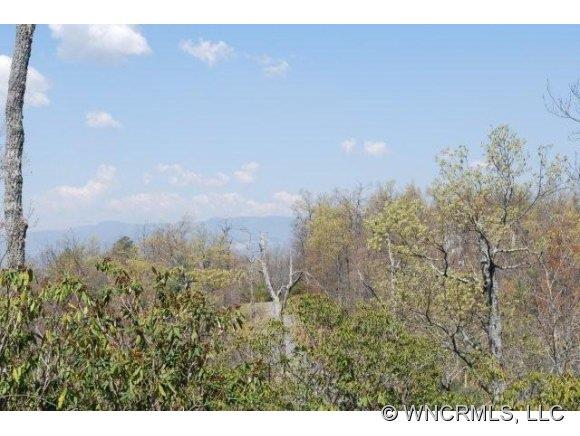 1306 Walnut Ridge Road Brevard NC 28712