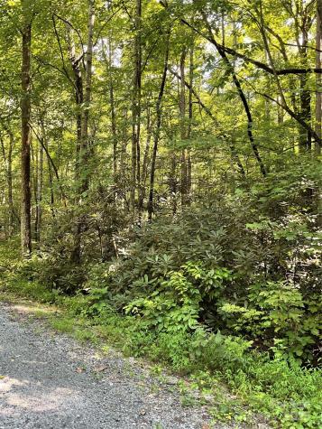 0 S Poplar Drive Lake Lure NC 28746
