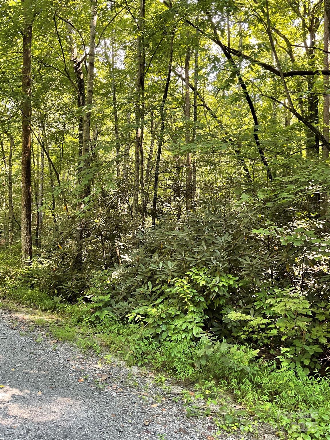 0 S Poplar Drive Lake Lure NC 28746