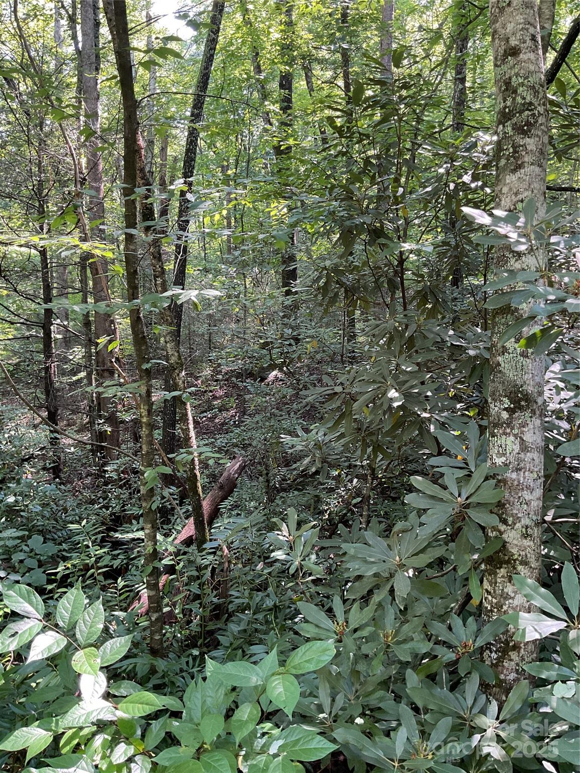 0 S Poplar Drive Lake Lure NC 28746