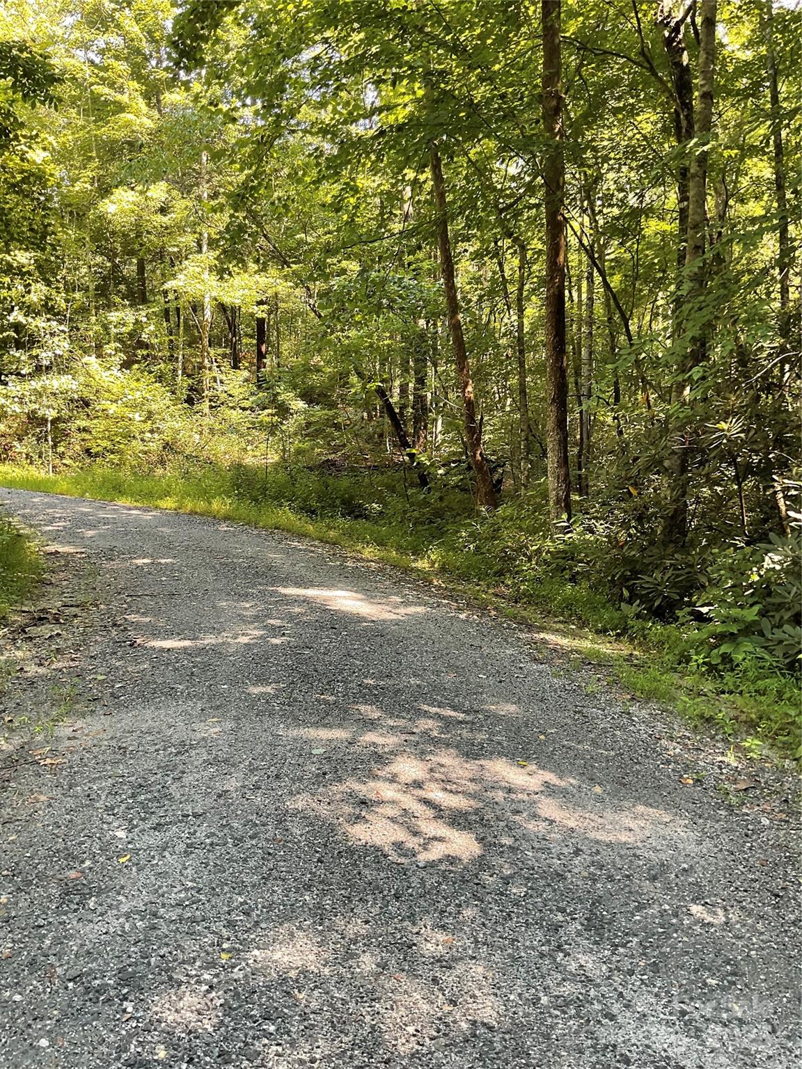 0 S Poplar Drive Lake Lure NC 28746