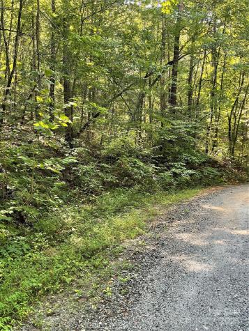 0 S Poplar Drive Lake Lure NC 28746