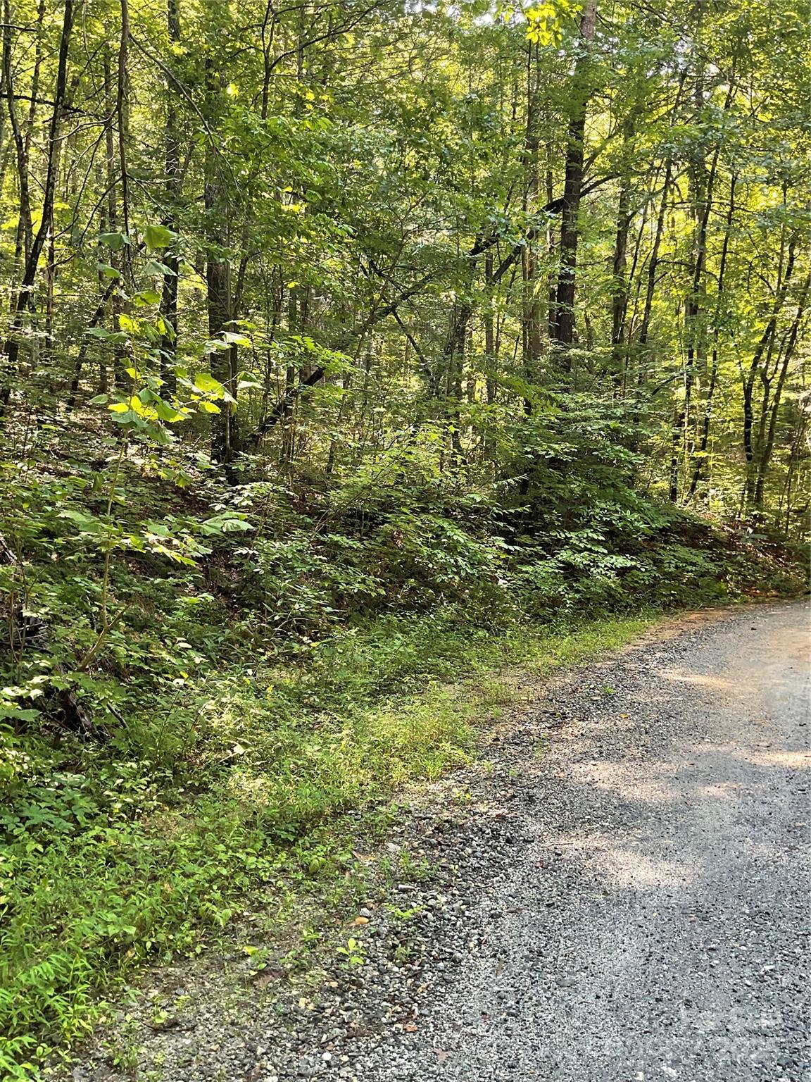 0 S Poplar Drive Lake Lure NC 28746