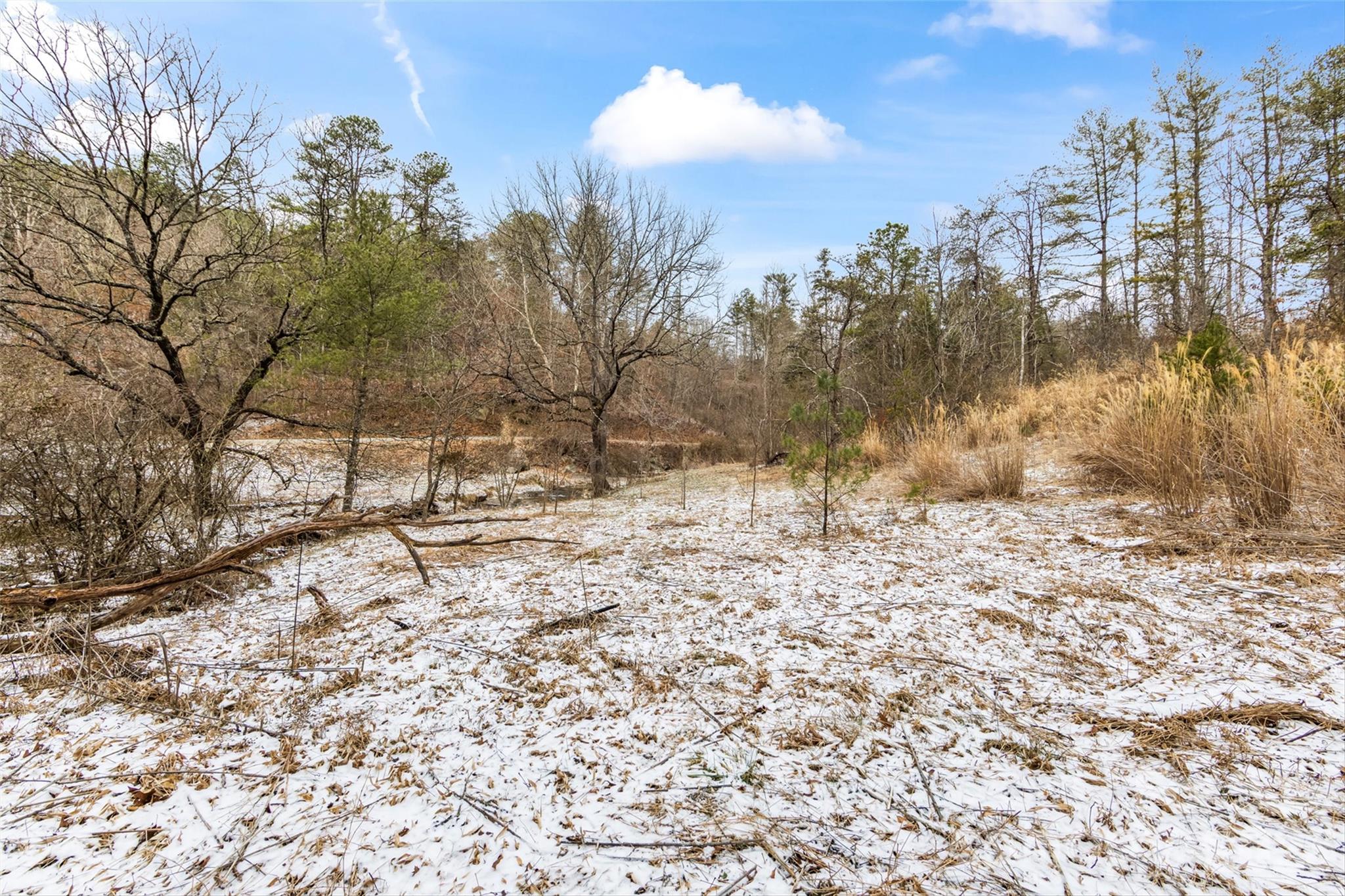Tbd Lower White Oak Road Marshall NC 28753