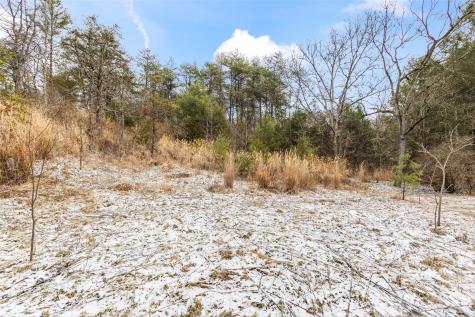 Tbd Lower White Oak Road Marshall NC 28753