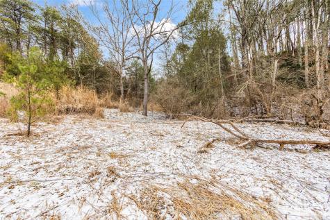 Tbd Lower White Oak Road Marshall NC 28753