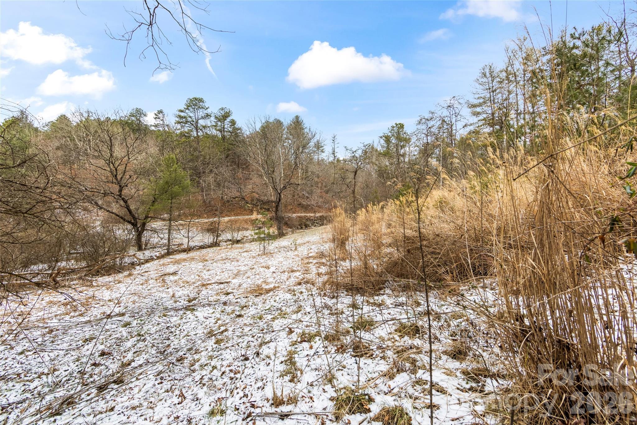 Tbd Lower White Oak Road Marshall NC 28753