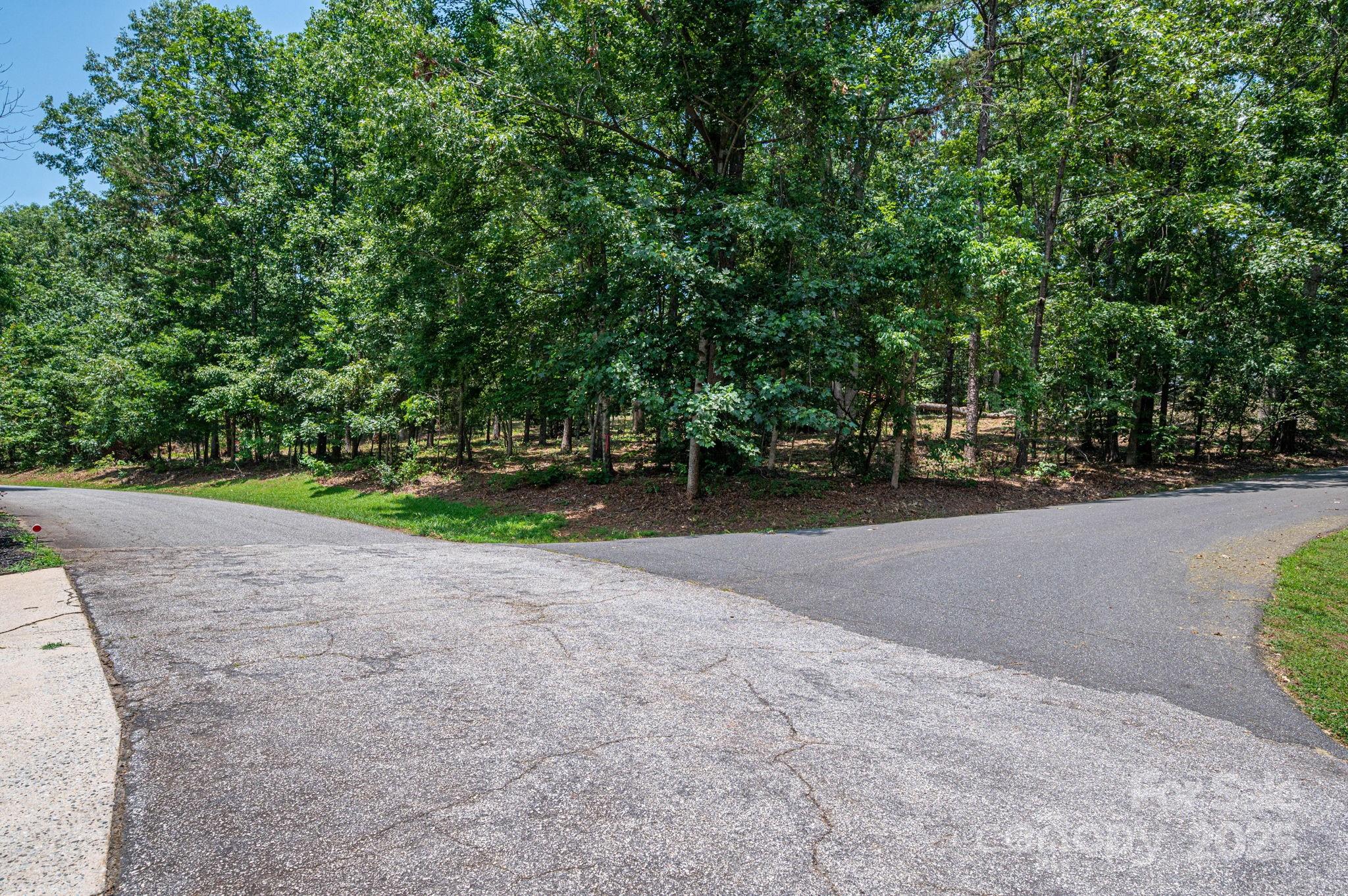 Lot #9 Moss Drive Rutherfordton NC 28139