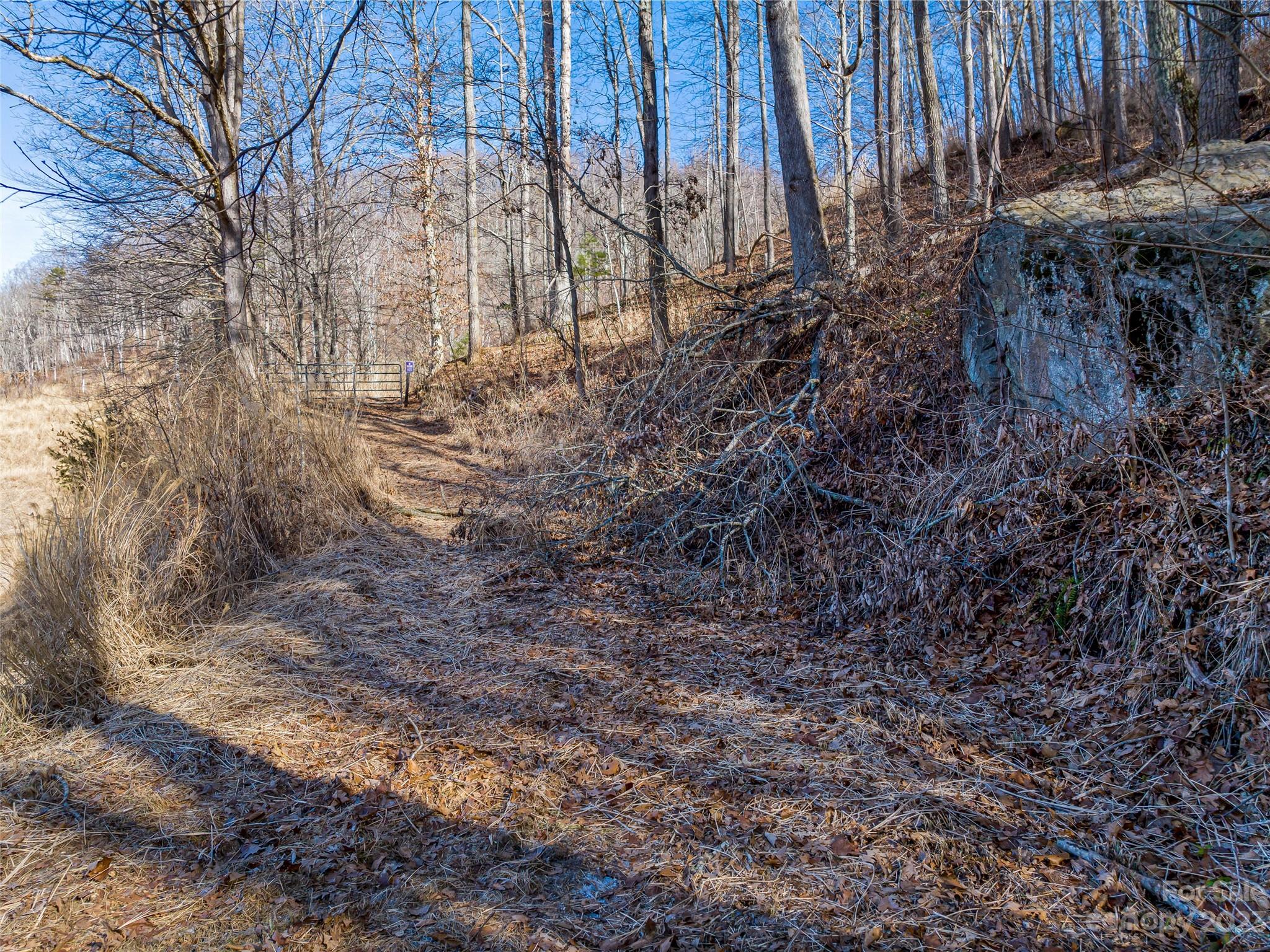 1592 & 1370 Bone Camp Road Marshall NC 28753