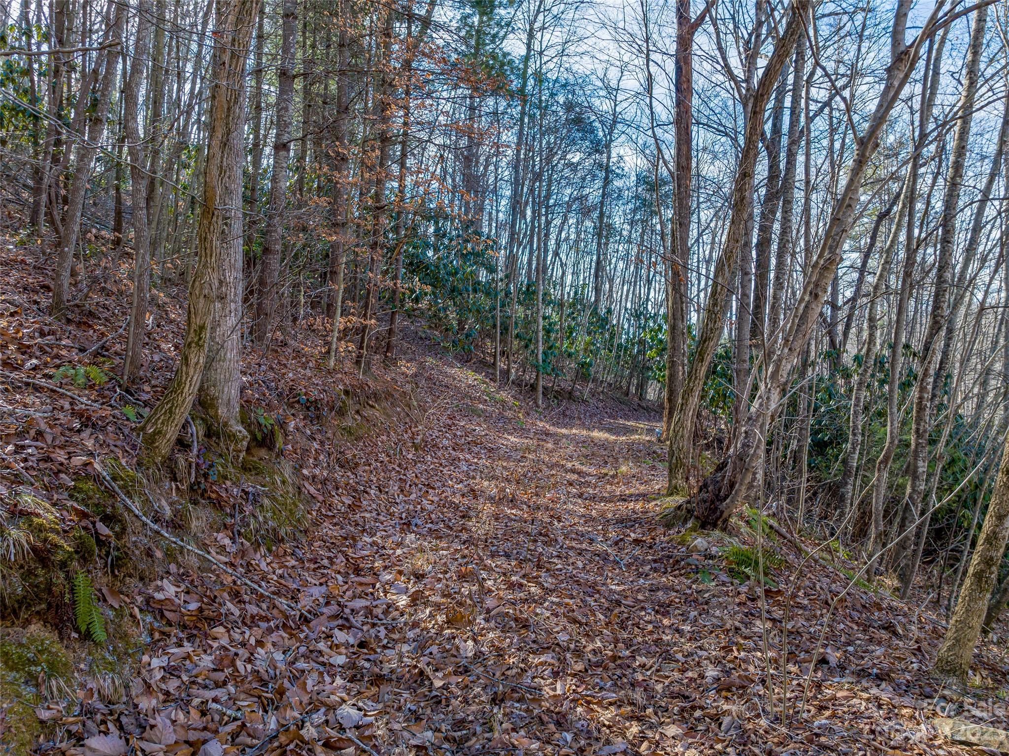 1592 & 1370 Bone Camp Road Marshall NC 28753
