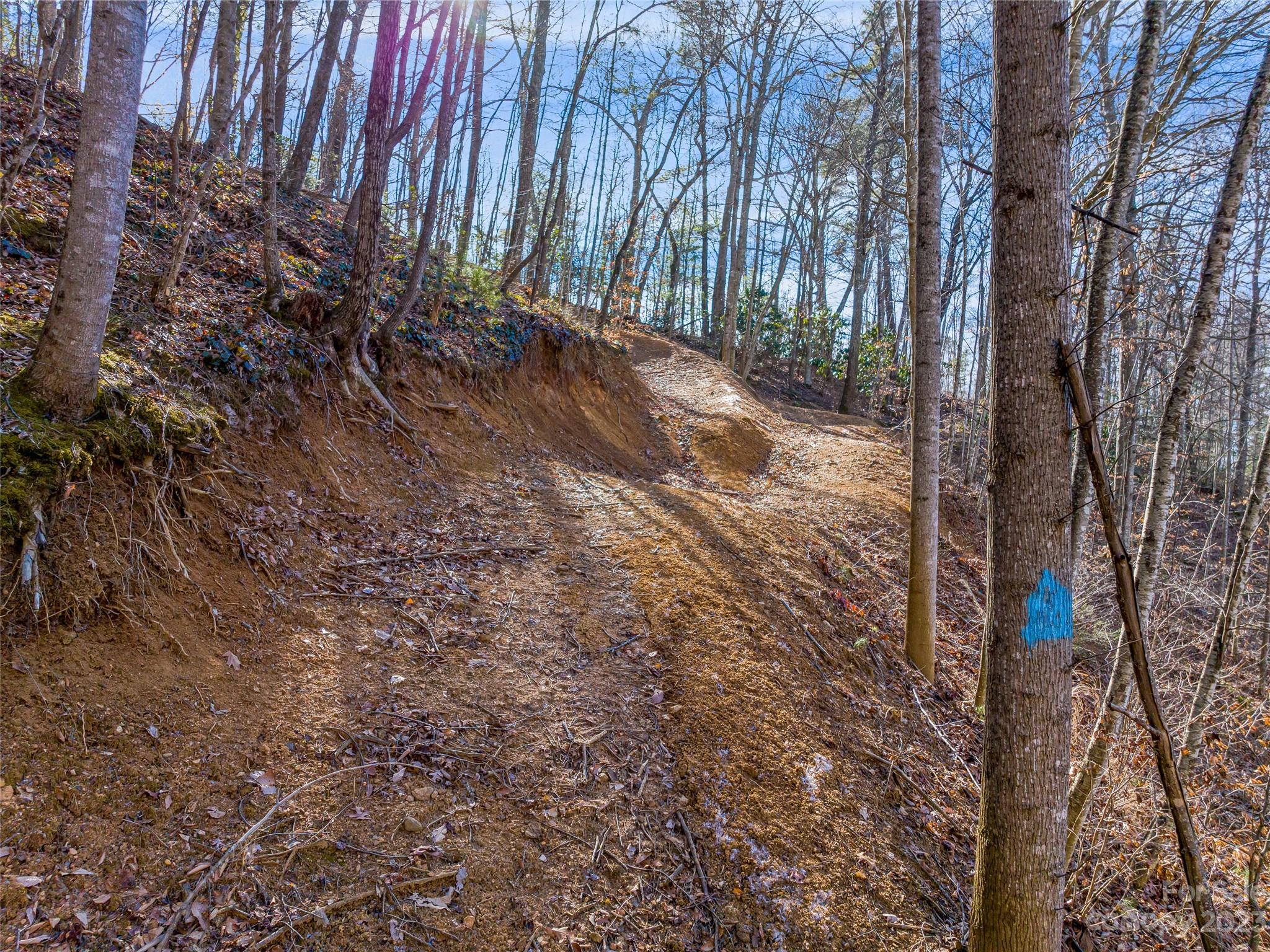 1592 & 1370 Bone Camp Road Marshall NC 28753