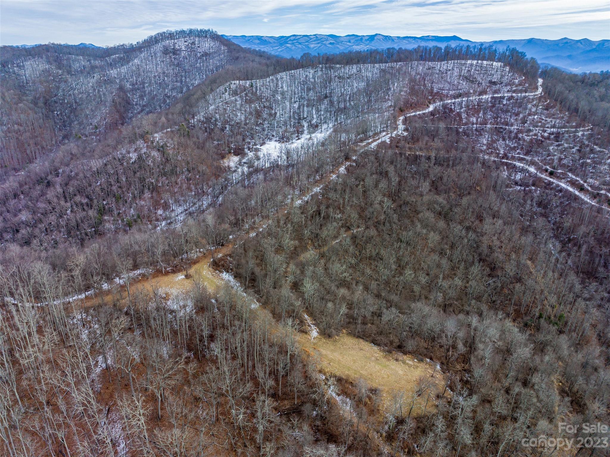 1592 & 1370 Bone Camp Road Marshall NC 28753