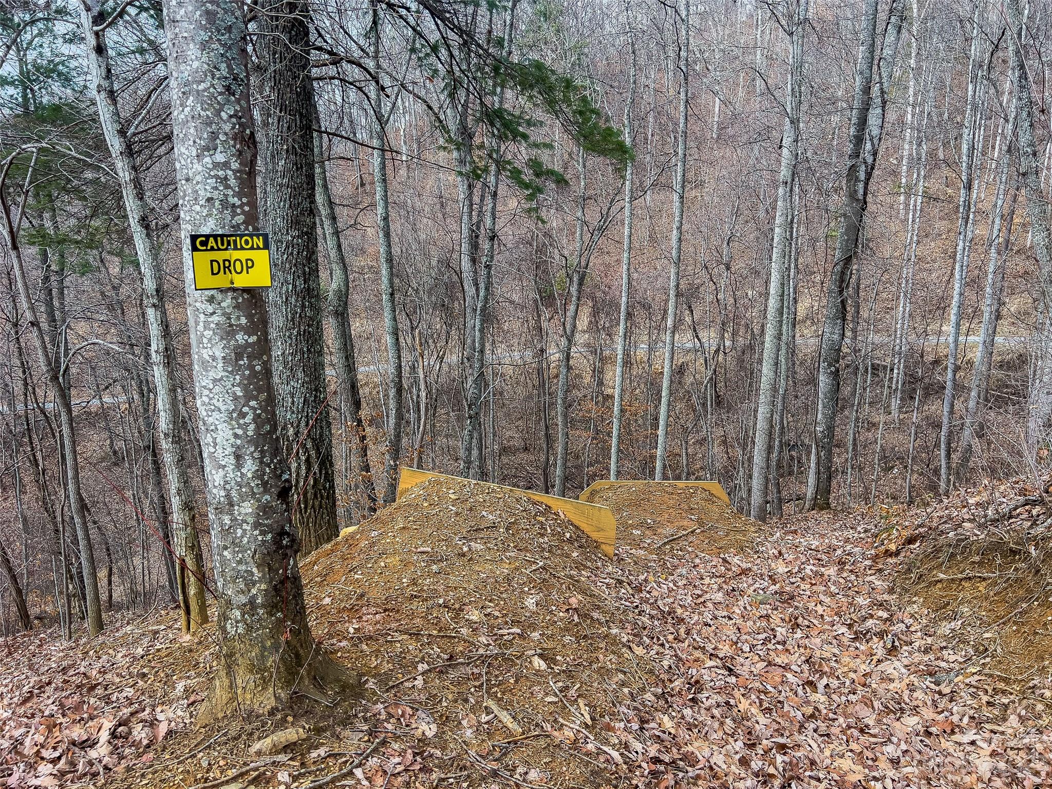 1592 & 1370 Bone Camp Road Marshall NC 28753